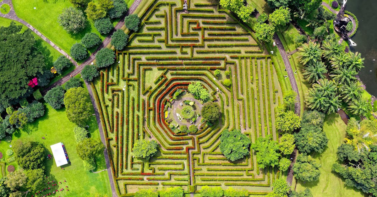 la labyrinthite est un trouble de l'oreille interne caractérisé par une inflammation du labyrinthe, entraînant des symptômes tels que des vertiges, une perte auditive et des problèmes d'équilibre. explorez les causes, les traitements et les effets de cette maladie pour mieux comprendre son impact sur le bien-être.