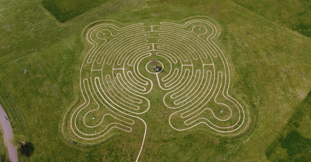 la labyrinthite est un trouble de l'oreille interne caractérisé par une inflammation du labyrinthe, entraînant des symptômes tels que des étourdissements, des vertiges et une perte auditive. découvrez ses causes, ses options de traitement et ses stratégies d'adaptation pour gérer efficacement cette maladie.