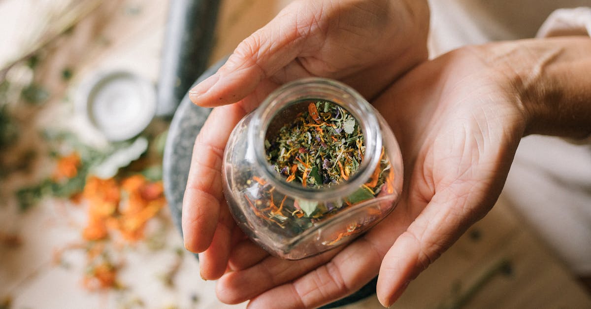 discover effective natural remedies for common ailments. explore herbal solutions, essential oils, and holistic practices to enhance your well-being and promote a healthier lifestyle.