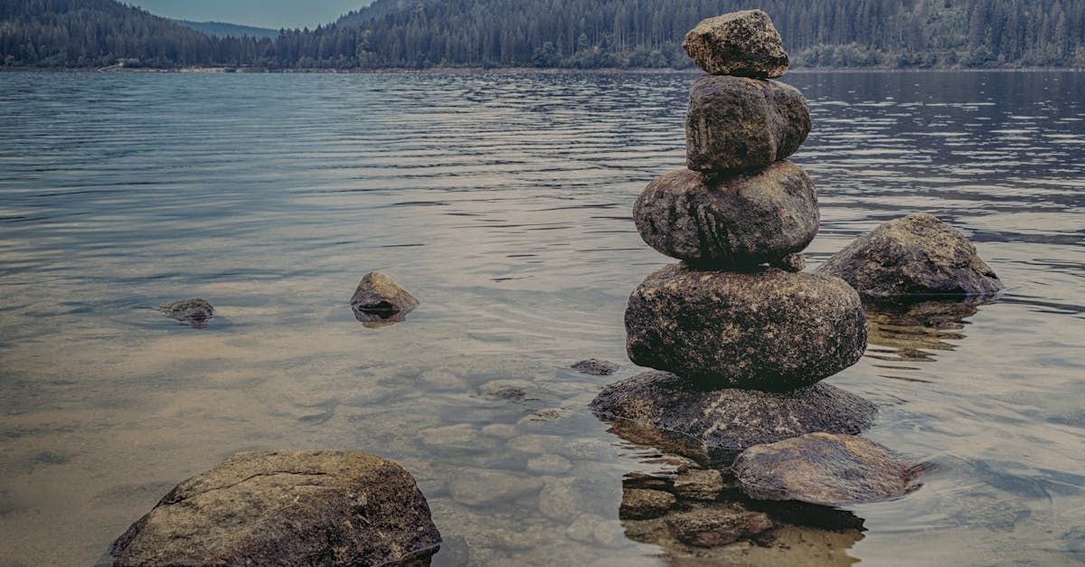 discover the transformative power of meditation to enhance your mental clarity, reduce stress, and promote overall well-being. explore techniques, tips, and guided sessions to help you incorporate mindfulness into your daily routine.