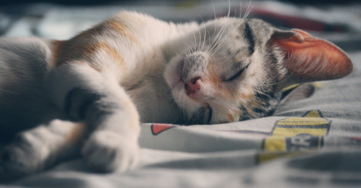 Découvrez l'expérience ultime du confort de sommeil avec nos solutions de matelas et de literie haut de gamme. Conçus pour une nuit de sommeil réparatrice, nos produits offrent l'équilibre parfait entre soutien et douceur, vous assurant de vous réveiller rafraîchi et rajeuni chaque matin. Explorez notre gamme maintenant !