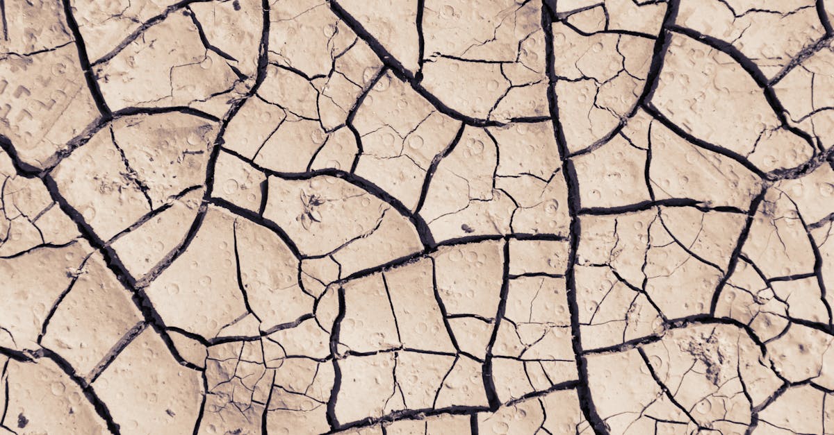 learn about dehydration, its causes, symptoms, and effective prevention strategies. understand how to stay hydrated and maintain optimal health.