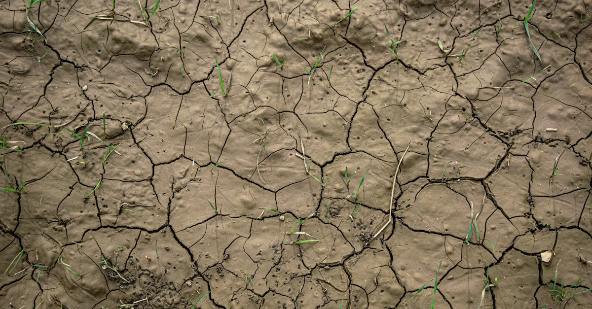discover the causes, symptoms, and prevention methods of dehydration. learn how to stay hydrated and recognize the signs that you may be at risk. essential information for maintaining your health.