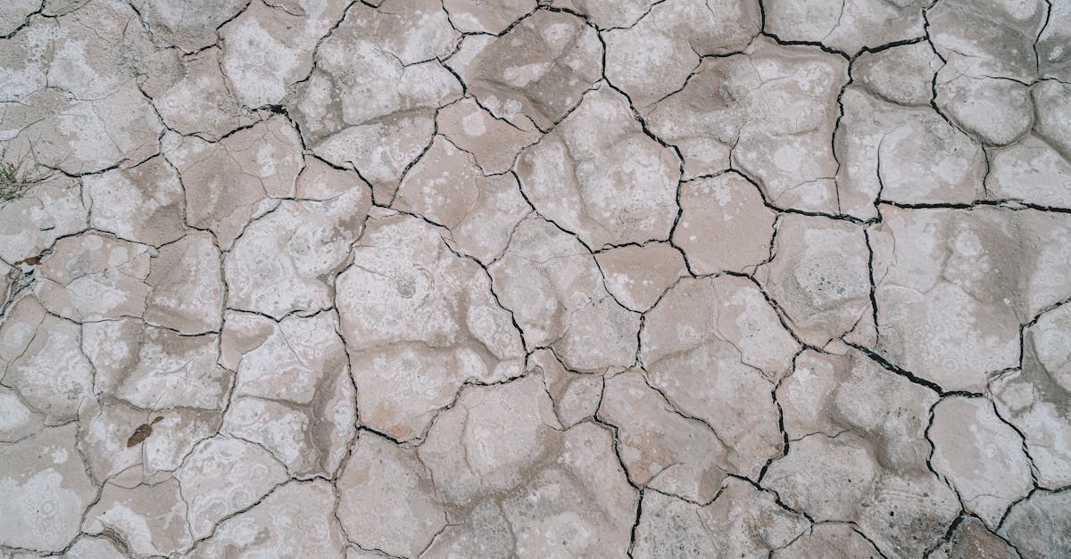 discover the causes, symptoms, and effects of dehydration. learn how to stay hydrated and the importance of water for your health in this informative guide.