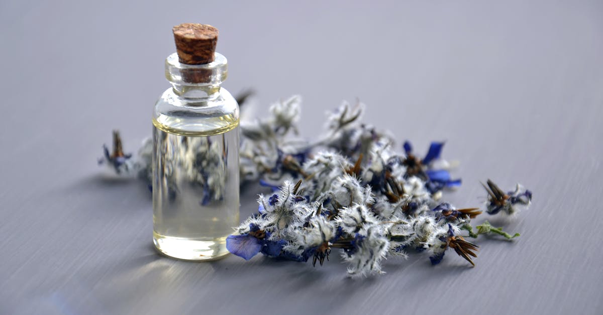 experience holistic rebalancing to restore harmony and well-being in your life. our approach combines mind, body, and spirit techniques to rejuvenate your energy and promote overall wellness.