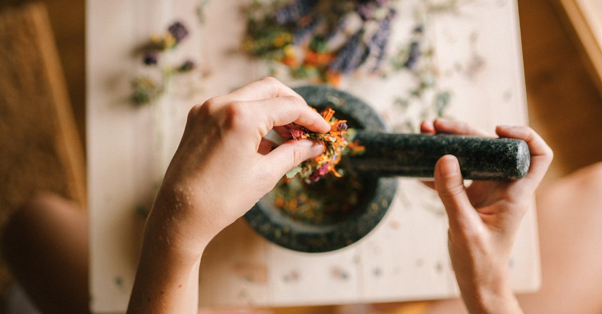 discover a collection of holistic remedies that promote natural healing and well-being. explore herbal solutions, essential oils, and alternative therapies for a balanced lifestyle. embrace the power of nature to enhance your health naturally.