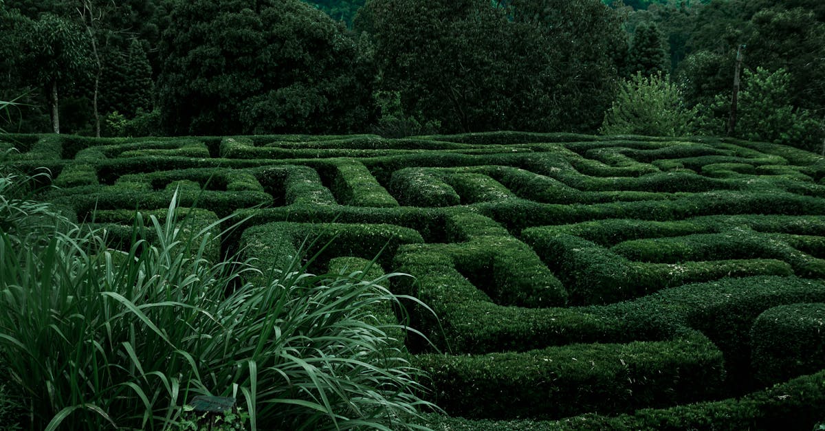 understand labyrinthitis, its causes, symptoms, and treatment options. explore how this inner ear condition can affect balance and hearing, and find expert advice for managing symptoms effectively.