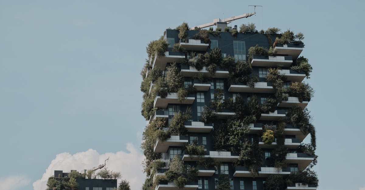 explore the concept of sustainable resilience, focusing on how communities and ecosystems adapt to challenges while promoting long-term viability and health. discover strategies and practices that foster resilience in the face of environmental, social, and economic changes.