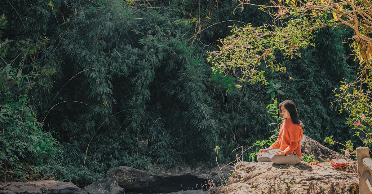 discover the transformative power of yoga with our comprehensive guide. explore various styles, techniques, and benefits that promote physical fitness, mental clarity, and spiritual growth. join us on a journey to wellness and inner peace.