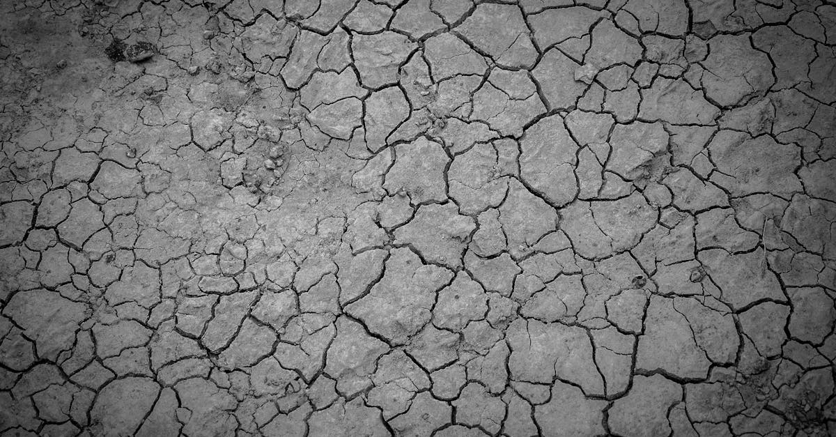 pour en savoir plus sur la manière dont nous pouvons vous accompagner vers une santé et un bien-être optimaux. Votre chemin vers la transformation commence ici !