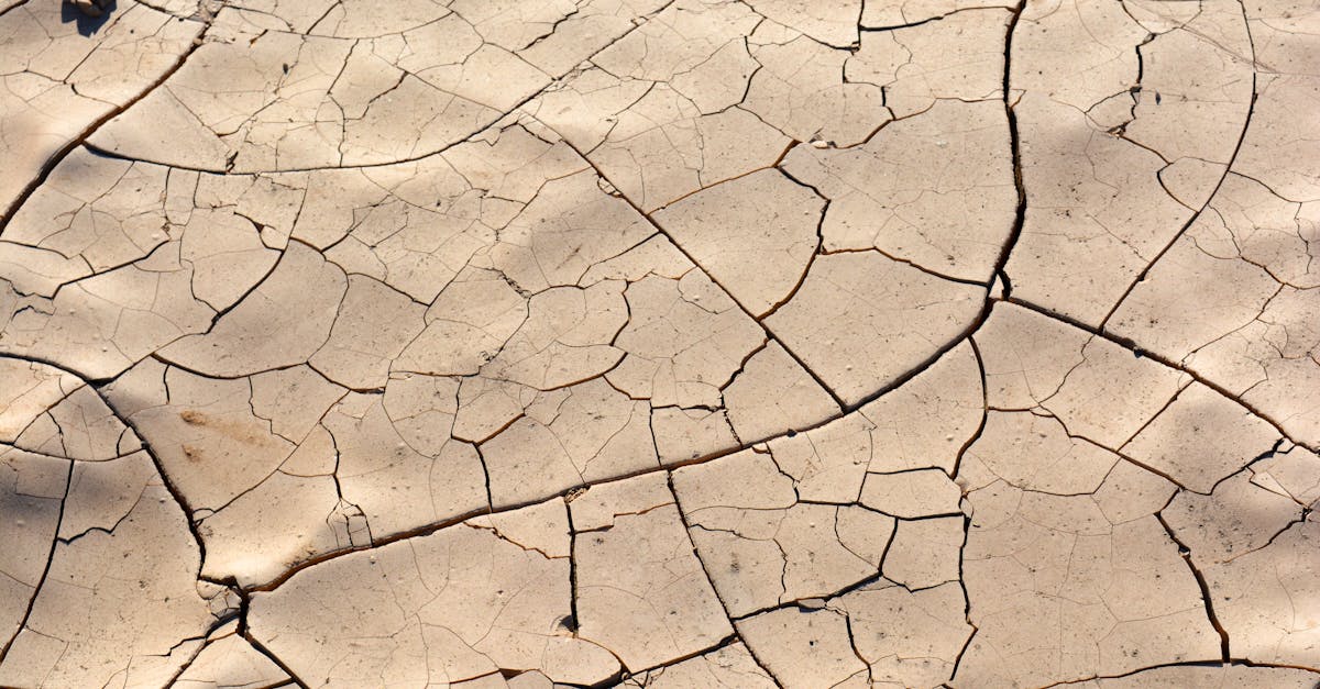 discover the causes, symptoms, and effective solutions for dehydration. stay informed on the importance of hydration for your overall health and learn tips to prevent dehydration in daily life.