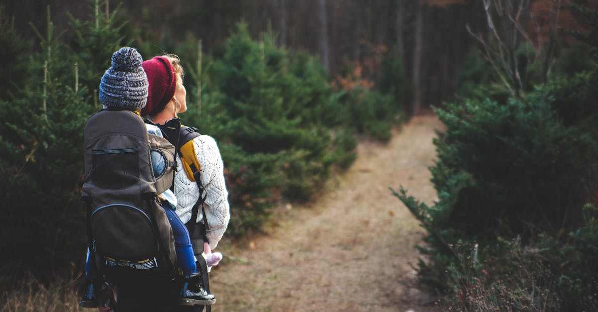 discover the ultimate comfort and support with our ergonomic backpack, designed to evenly distribute weight and reduce strain on your back. perfect for daily commutes, hiking, or travel, our backpack combines style and functionality, ensuring you stay organized while prioritizing your well-being.