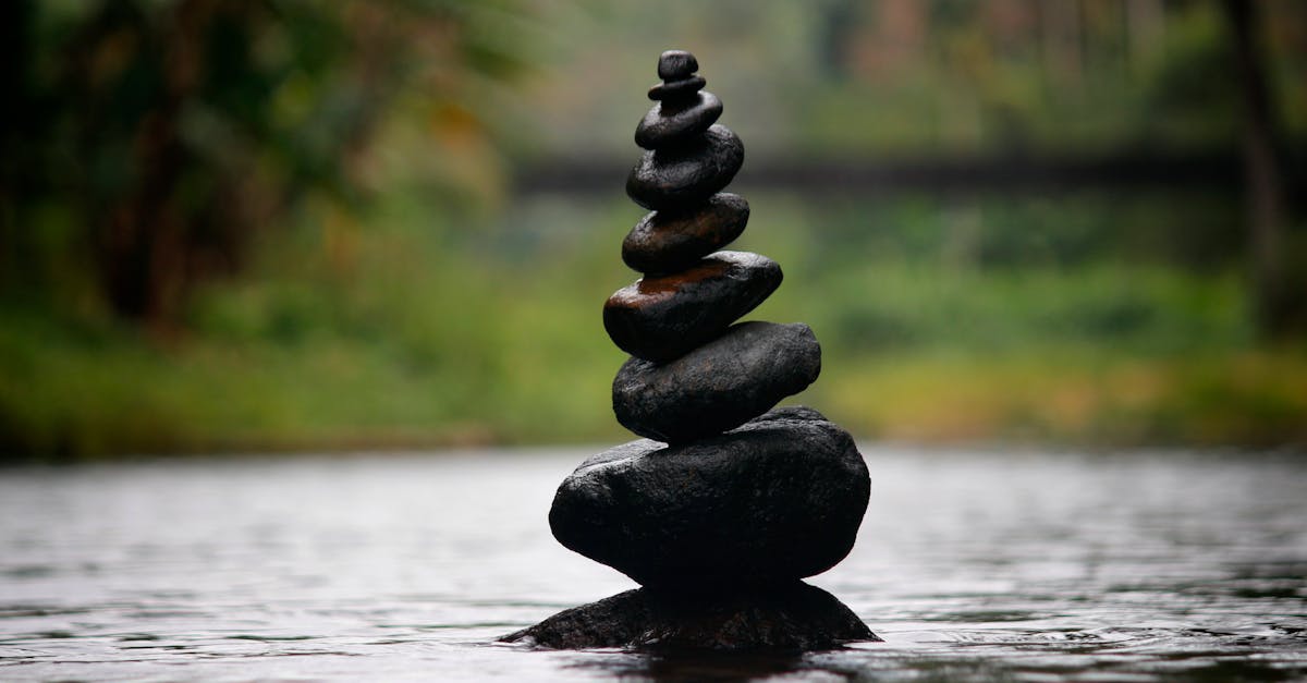 discover the essence of harmony in life through our insights and tips. explore how to achieve balance and tranquility in your daily routines and relationships.