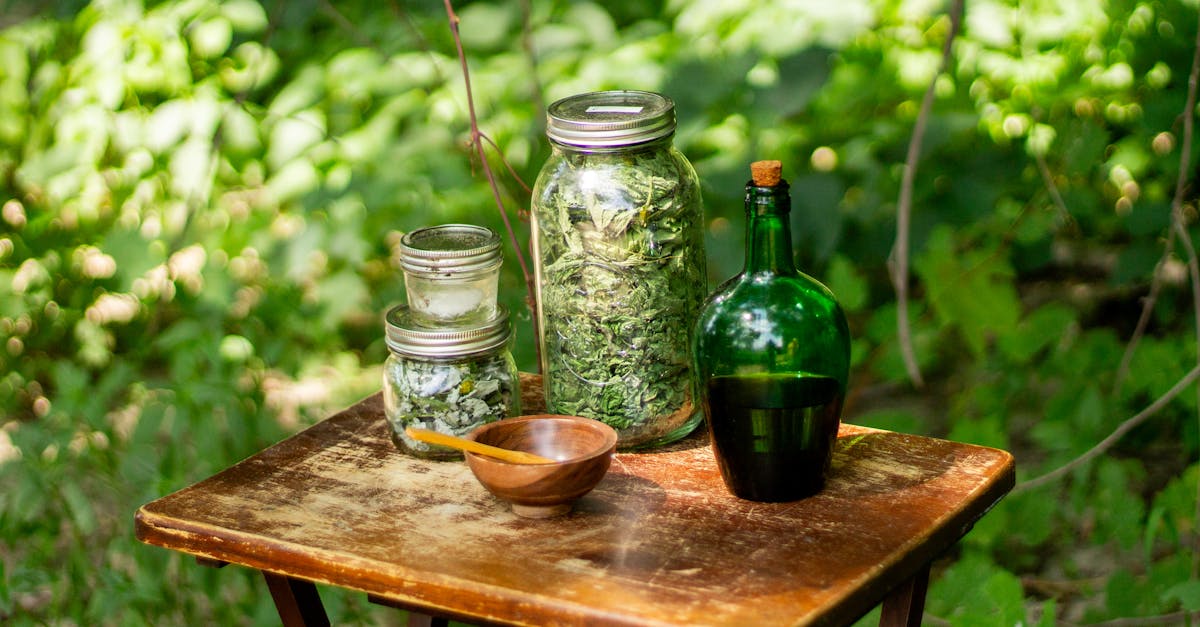discover the power of holistic remedies to promote natural healing and well-being. explore a range of alternative therapies, from herbal treatments to mindfulness practices, that nurture the mind, body, and spirit.
