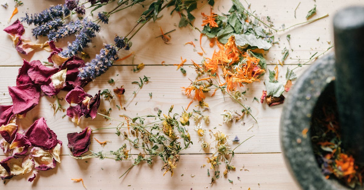 discover the power of holistic remedies for natural healing and wellness. explore a range of holistic approaches that promote balance, harmony, and overall health through natural ingredients and practices.