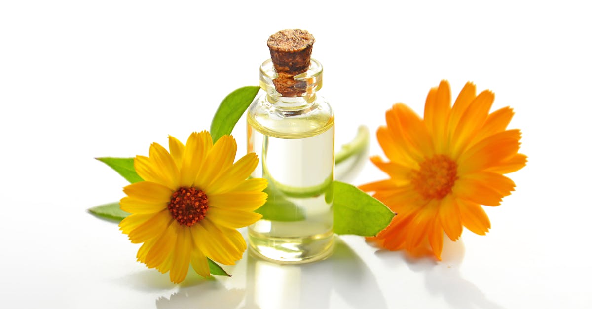 discover the power of holistic remedies for enhancing overall well-being. explore natural solutions for physical, emotional, and spiritual health that harmonize the body and mind.