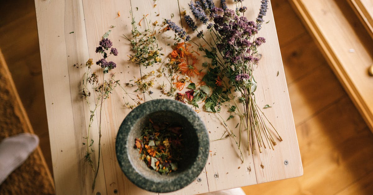 discover effective home remedies for common ailments and health issues. explore natural treatments, tips, and remedies to improve your well-being using ingredients you already have at home.