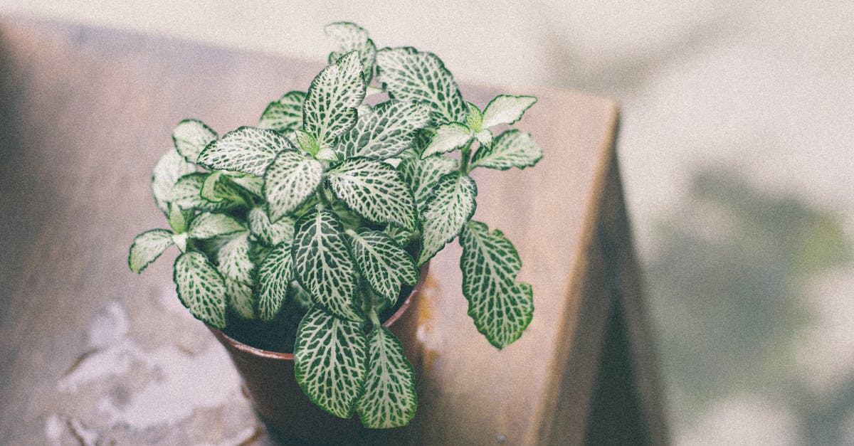 discover the causes, symptoms, and effective treatments for pinched nerves. learn how to relieve pain and regain mobility with expert tips and insights.