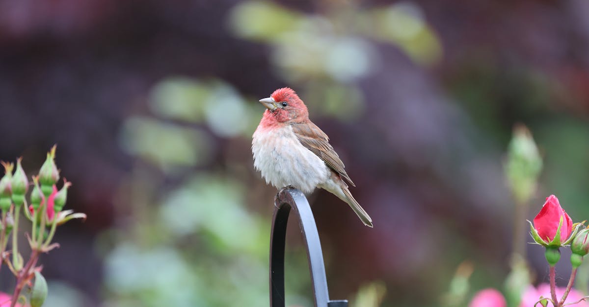 Ajustez votre chaise et surveillez la hauteur pour adopter une posture naturelle.