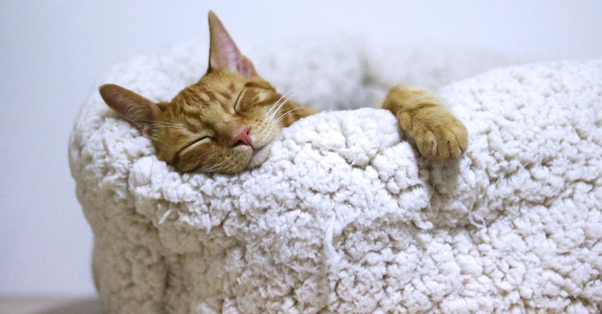 discover the science of sleep and unlock the secrets to a better night's rest. explore tips for improving sleep quality, understanding sleep cycles, and the benefits of a well-rested mind and body.