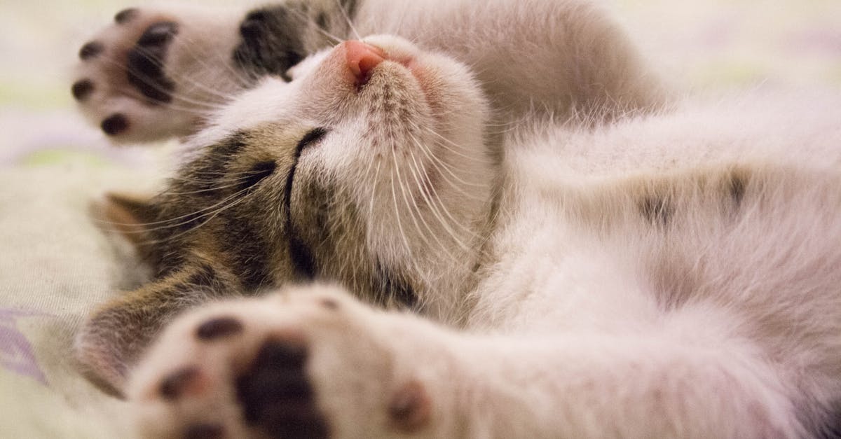 Si vous êtes prêt à découvrir comment le bien-être peut s'améliorer grâce à une meilleure qualité de sommeil, nous vous invitons à visiter notre site web pour en savoir plus sur Pulse Align. Nos cliniques sont situées dans des villes comme