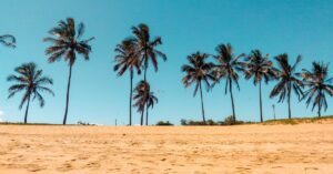 discover the essence of tranquility with our curated insights and tips. unwind, relax, and embrace a peaceful state of mind in today's fast-paced world.