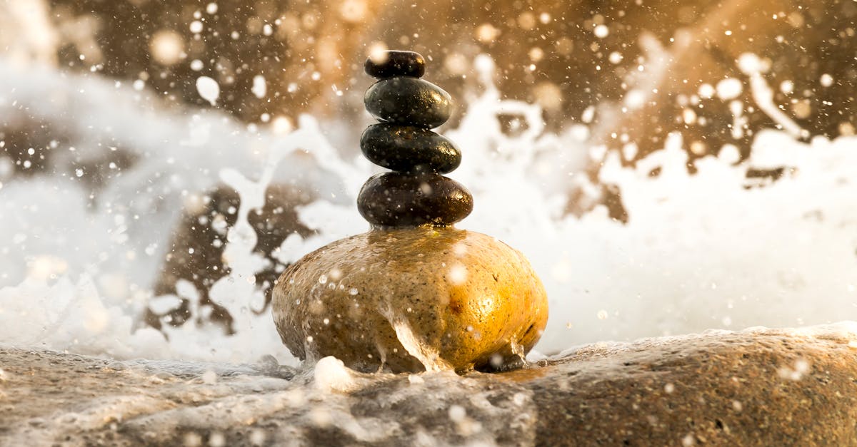 Découvrez l'importance de l'équilibre dans la vie, de la stabilité mentale et émotionnelle au maintien d'un mode de vie harmonieux. Explorez des conseils et des stratégies pour cultiver l'équilibre au quotidien.
