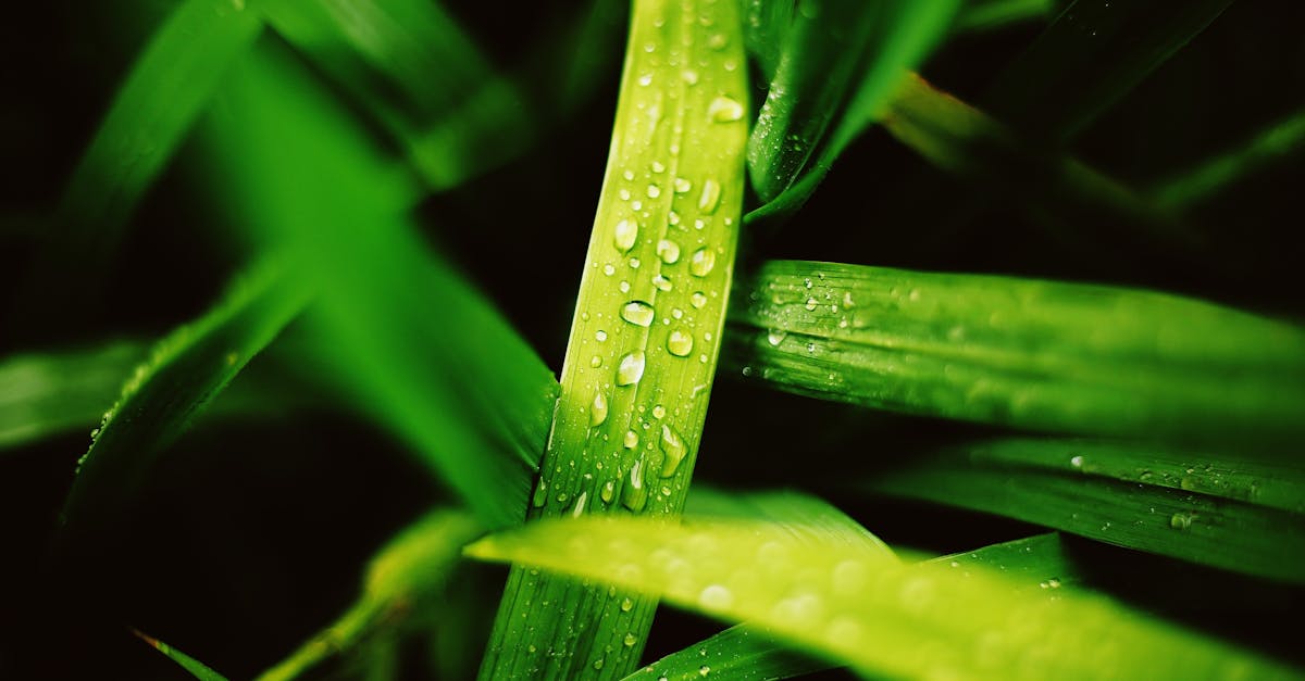 discover the importance of hydration for your body and mind. learn tips on how to stay properly hydrated, the benefits of drinking enough water, and the best hydration practices to enhance your overall health and wellness.