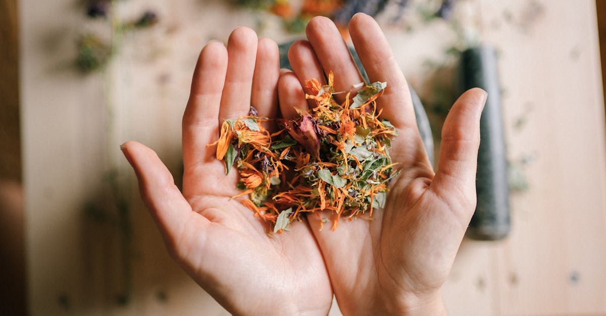 discover the power of natural remedies for holistic healing. explore various herbs, essential oils, and alternative therapies to enhance your well-being and promote a healthier lifestyle.