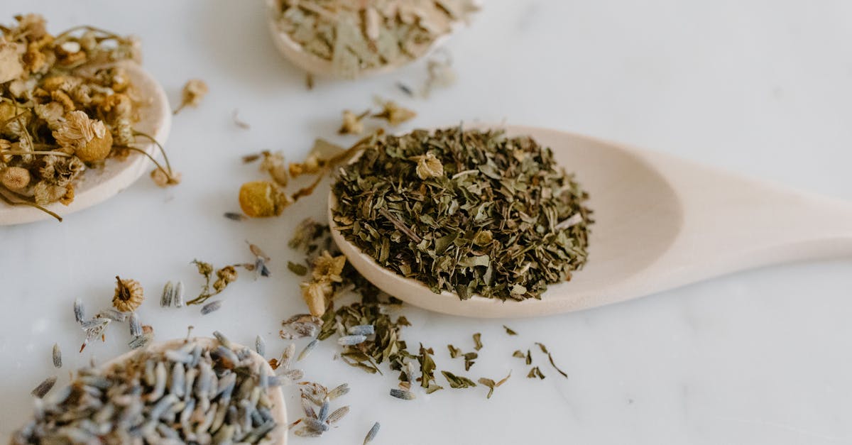 explore the power of natural remedies for holistic healing and wellness. discover effective herbal treatments, lifestyle tips, and home remedies to enhance your health naturally.