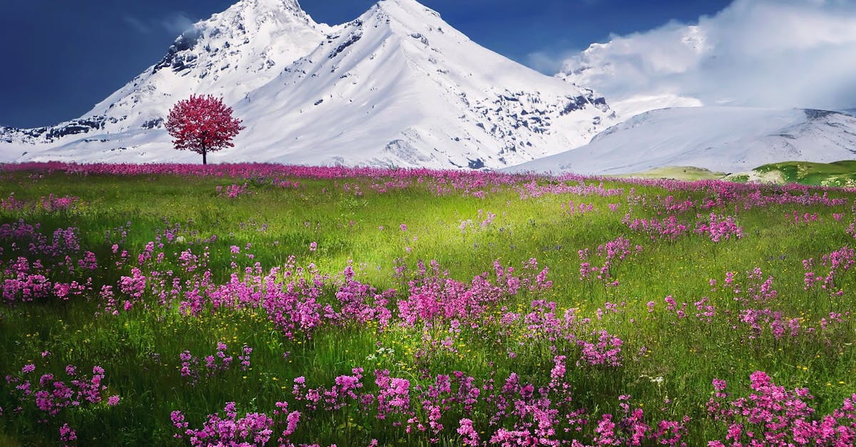 discover the ultimate relaxation techniques to rejuvenate your mind and body. explore effective strategies for unwinding, reducing stress, and enhancing your overall well-being in a fast-paced world.