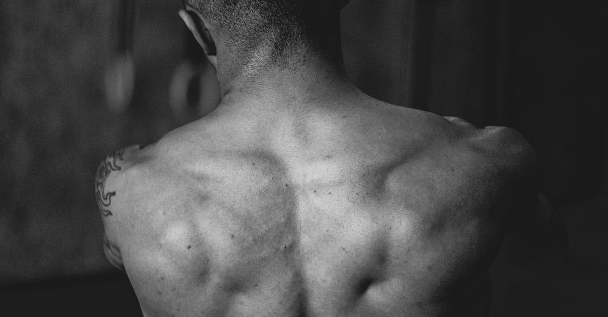 discover effective exercises and tips to enhance your upper back strength. build muscle, improve posture, and reduce pain with our comprehensive guide tailored for all fitness levels.