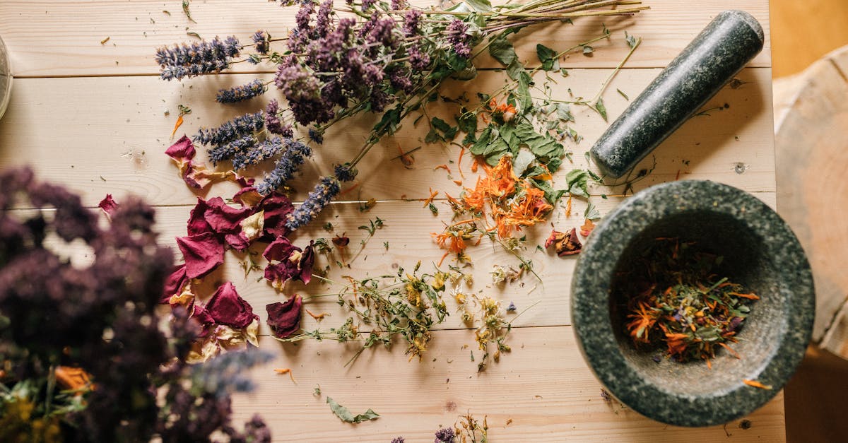 discover the power of natural remedies to enhance your well-being and promote a healthier lifestyle. explore effective solutions derived from nature to address common ailments and boost your immune system.